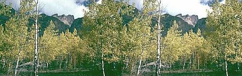 Klick: Bild 137kB; B=700px