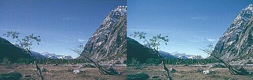 Klick: Bild 102kB; B=700px
