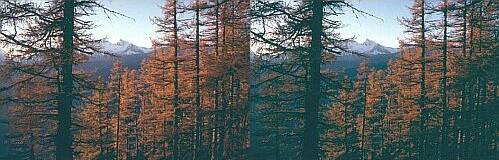 Klick: Bild 124kB; B=700px