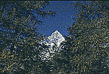 Klick: Bild 154kB