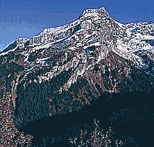 Klick: Bild 229kB