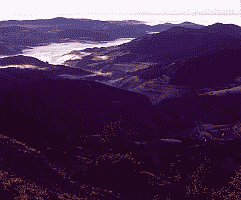 Klick: Bild 160kB: Kleiner Teil der herbstlichen Belchenschau bis zu den Alpen
