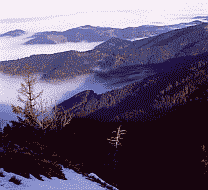Klick: Bild 156kB: Das Rheintal ,,verkleidet sich oft im Herbst