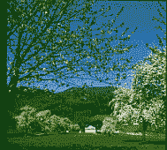Klick: Bild 247kB: Frühlingsblüte, Schwarzwaldhof und Kandel,,wand vom Glottertal