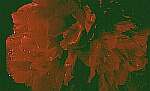 Klick: Parallelsicht Stereobild 23kB: Lilarote Pfingstrose