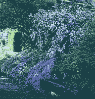 Klick: Bild 198kB