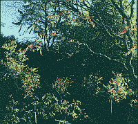 Klick: Bild 266kB
