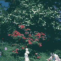Klick: Bild 220kB
