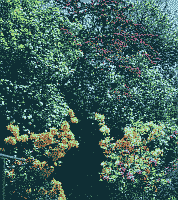 Klick: Bild 222kB