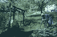Klick: Bild 279kB