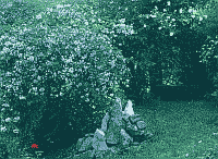 Klick: Bild 206kB
