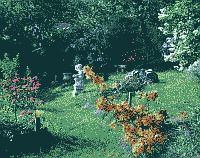 Klick: Bild 294kB
