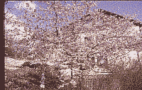Klick: Bild 361kB