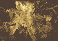 Klick: Bild 316kB