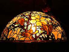 Klick: Bild 118 kB: Erwachende Farben der Natur: Magnolienlampe