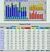 Jahresstatistik 8/2005-6/2006; klick: 58kB