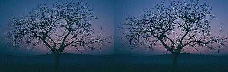 Klick: Stereobild 48kB