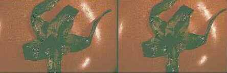 Klick: Stereobild 40kB