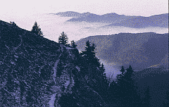Klick: Bild 295kB