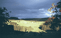 Klick: Bild 241kB