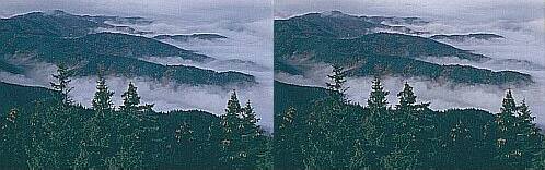 Klick: Bild 81kB; B=800px