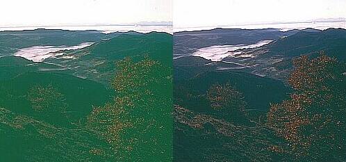 Klick: Bild 178kB; B=1000px