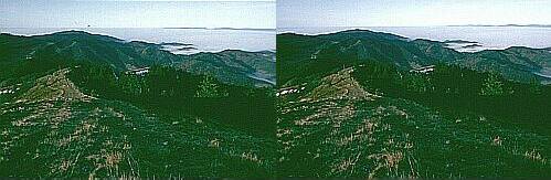 Klick: Bild 68kB; B=800px