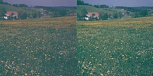 Klick: Bild 272kB