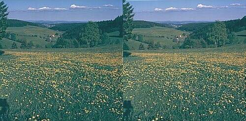 Klick: Bild 295kB