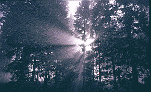 ... Villingen, bei Triberg; klick: Bild 282kB