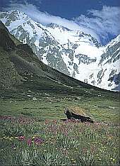 Klick: Bild 443kB: Nanga Parbat 8126m