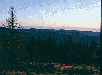 Klick: Bild 296kB