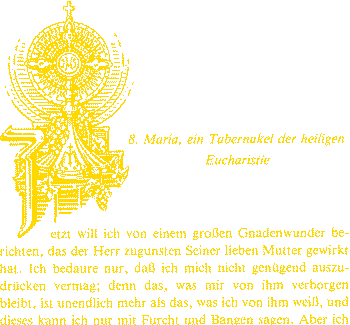 Grafik aus dem vorigen Band:
Maria und der Bezug zur Eucharistie