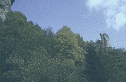 ,,Weiberzahn�� an der jungen Donau; Klick: Bild 231kB