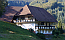 Klick: Bild 186kB aus der Region Elztal in Katzenmoos, 10.8.2005