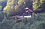 Klick: Bild 178kB aus der Region Glottertal/(Simonsw&auml;ldertal), 9.9.2006
