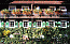 Klick: Bild 214kB aus der Region Gutachtal, 30.8.2005