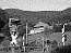 aus der Region Gutachtal, 30.8.2005