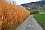 Klick: Bild 178kB aus der Region Kinzigtal, 16.11.2006