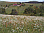 Klick: Bild 293kB aus der Region Wasserscheide Rhein/Donau in Schonach, 13.5.2007