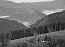 aus der Region Wasserscheide Rhein/Donau bei Triberg, Hohnen, Herbst 2004