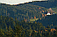 Klick: Bild 86kB aus der Region Wasserscheide Rhein/Donau in Losbach bei Triberg, 1.11.2005