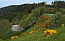 Klick: Bild 195kB aus der Region Wasserscheide Rhein/Donau bei St. Georgen, Sommerau, 10.5.2007